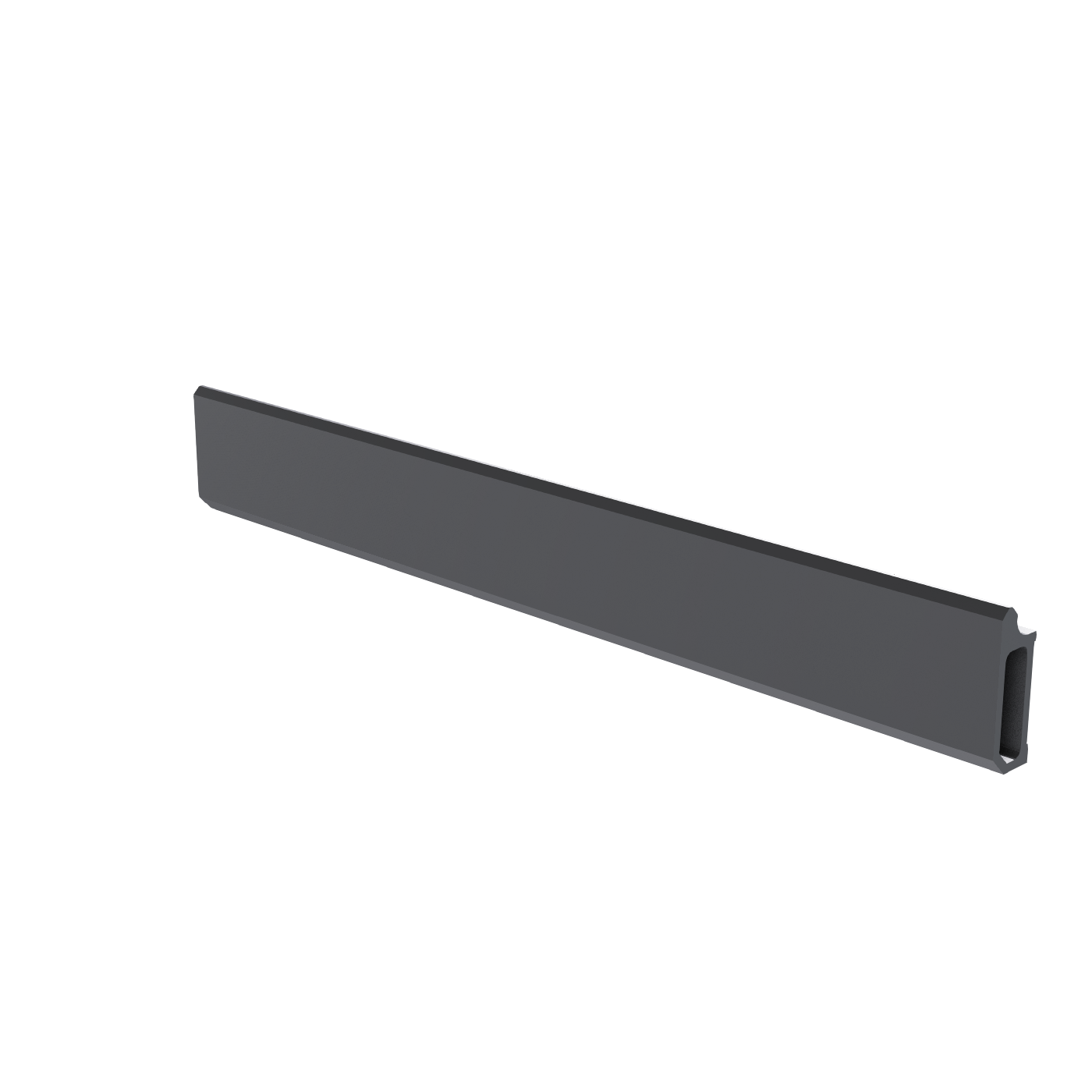 Rail 250mm