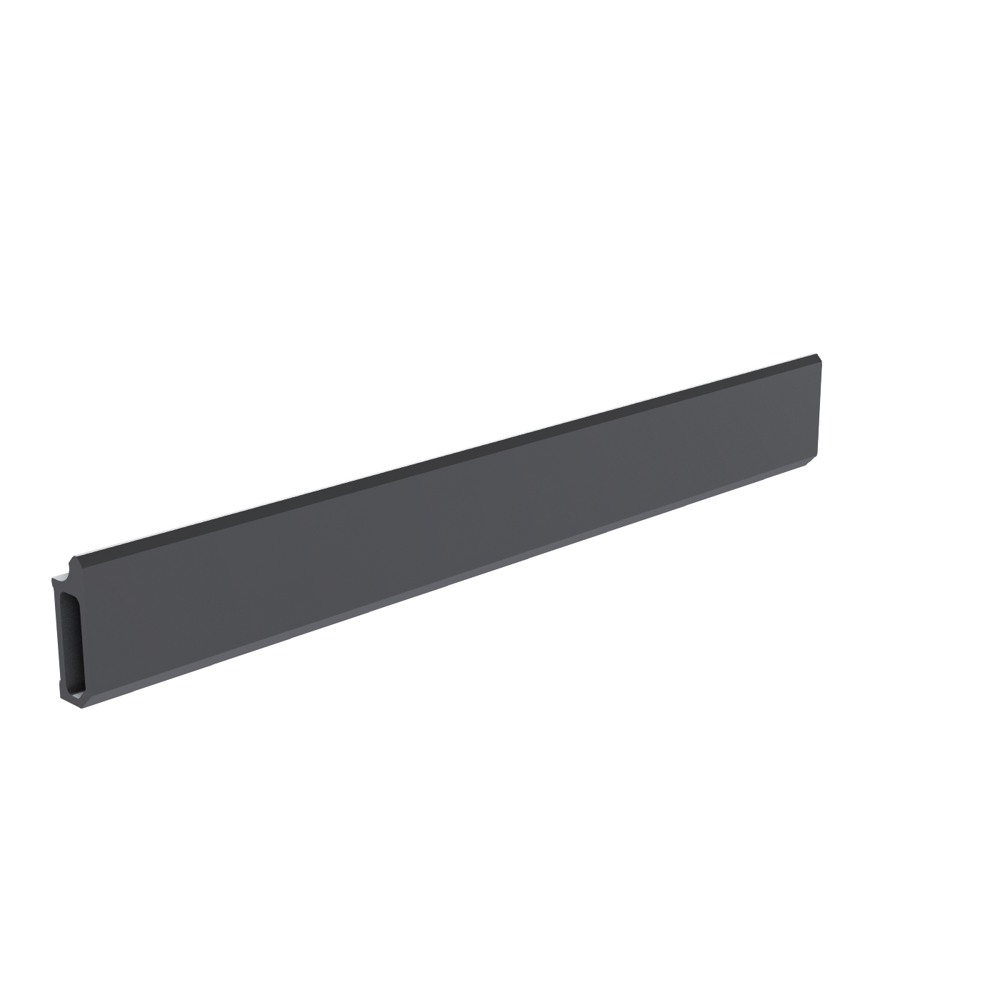 Rail 250mm