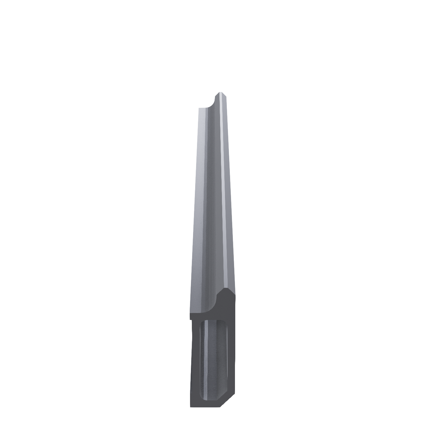 Rail 250mm